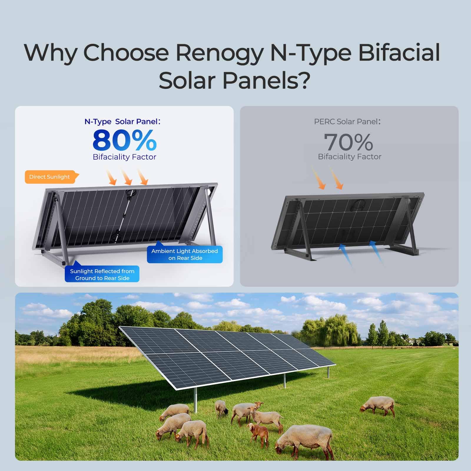 Renogy Solar Panels 1180W 12V/24V N-Type Bifacial Solar Panel 2PCS 590W Monocrystalline On/Off Grid Application Over 1000 Watt Solar Panel High Efficiency Durable for Homes Roof RV Boat Camping Black - Image 3